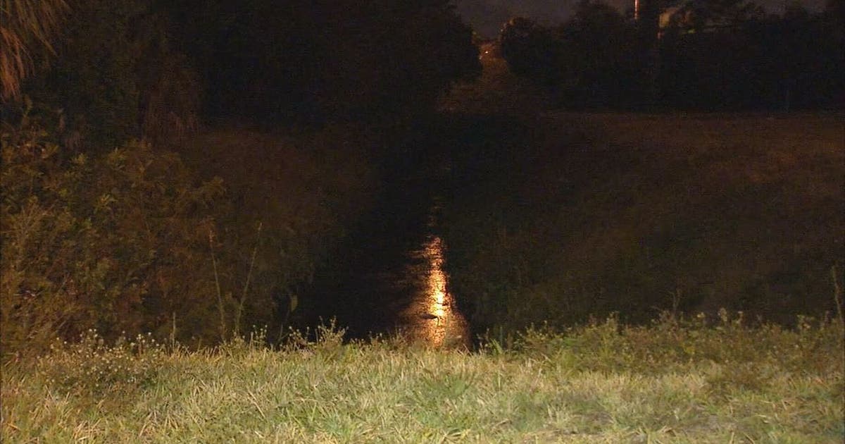 St. Petersburg woman found dead in creek | FOX 13 Tampa Bay