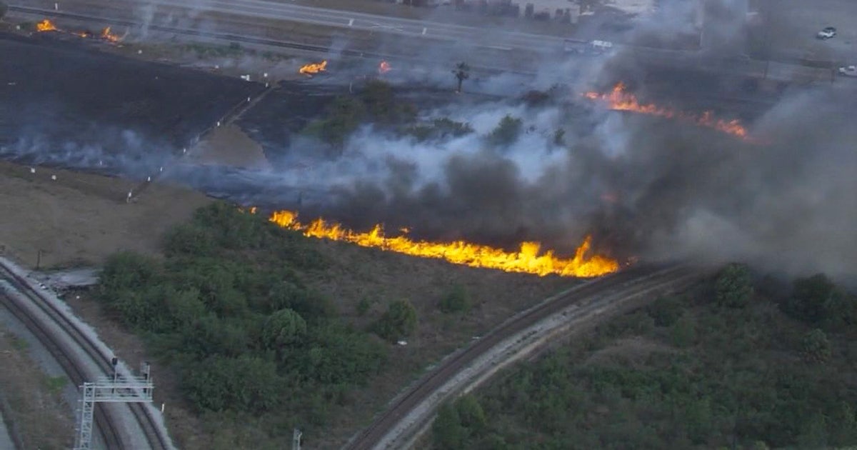 Small brush fire sparks near Lakeland | FOX 13 Tampa Bay