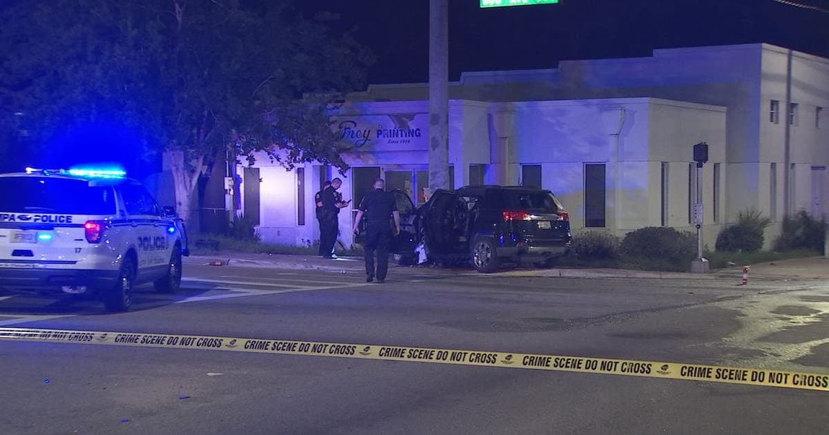 Teens arrested for armed robberies following crash in Tampa | FOX 13 ...