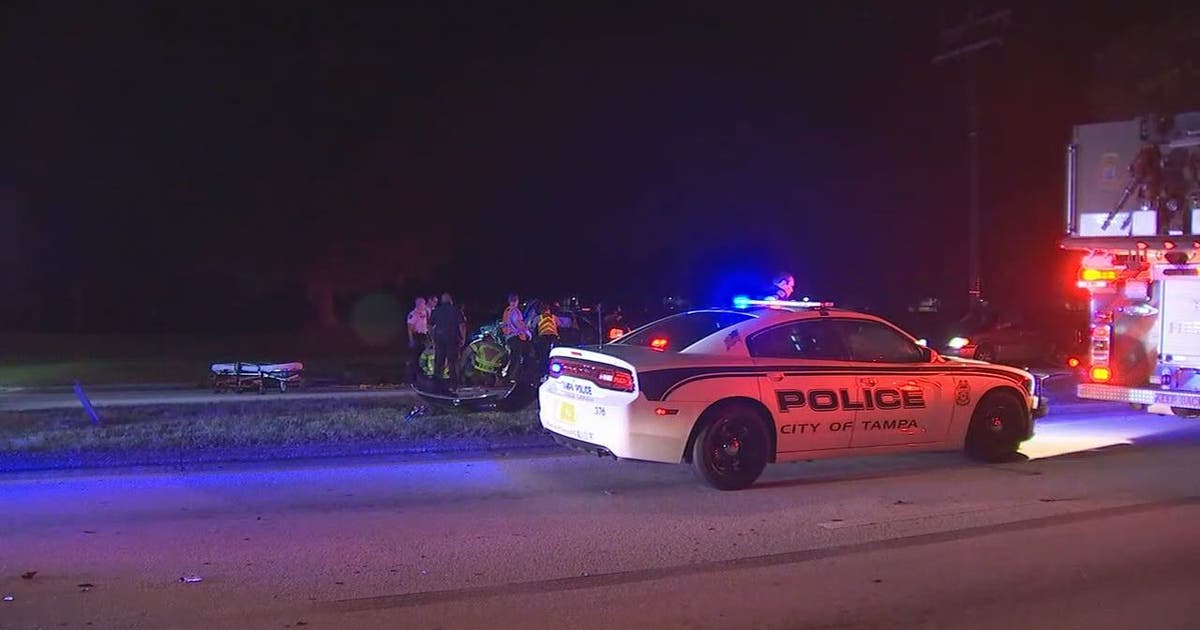 Fatal crash involving palm tree closes Tampa road | FOX 13 Tampa Bay