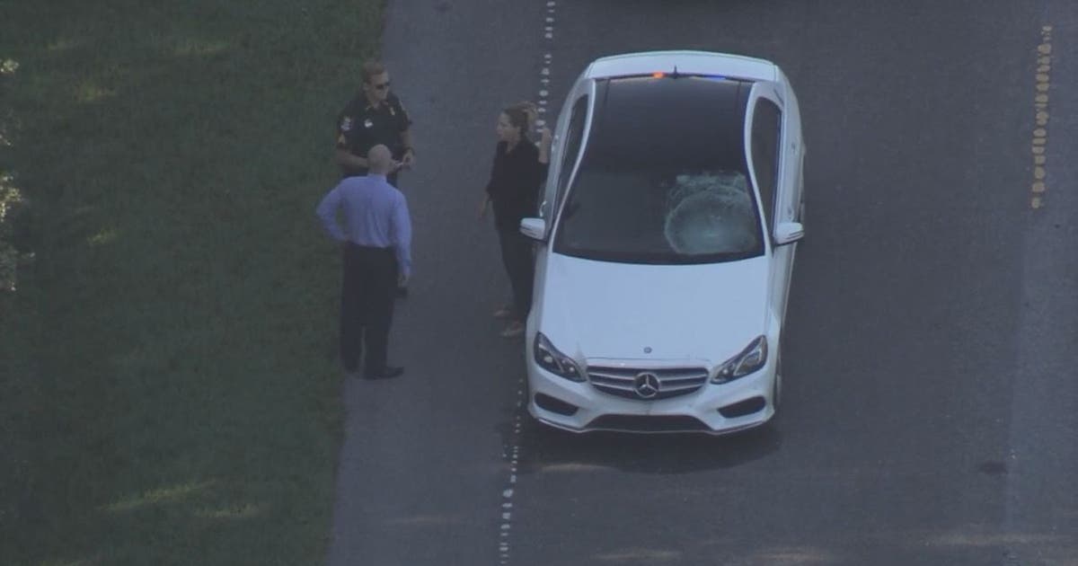 Teen bicyclist hit by car | FOX 13 Tampa Bay