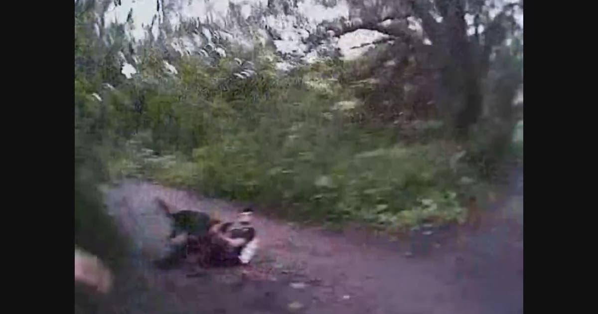 K9 chases down suspect who fled during traffic stop | FOX 13 Tampa Bay