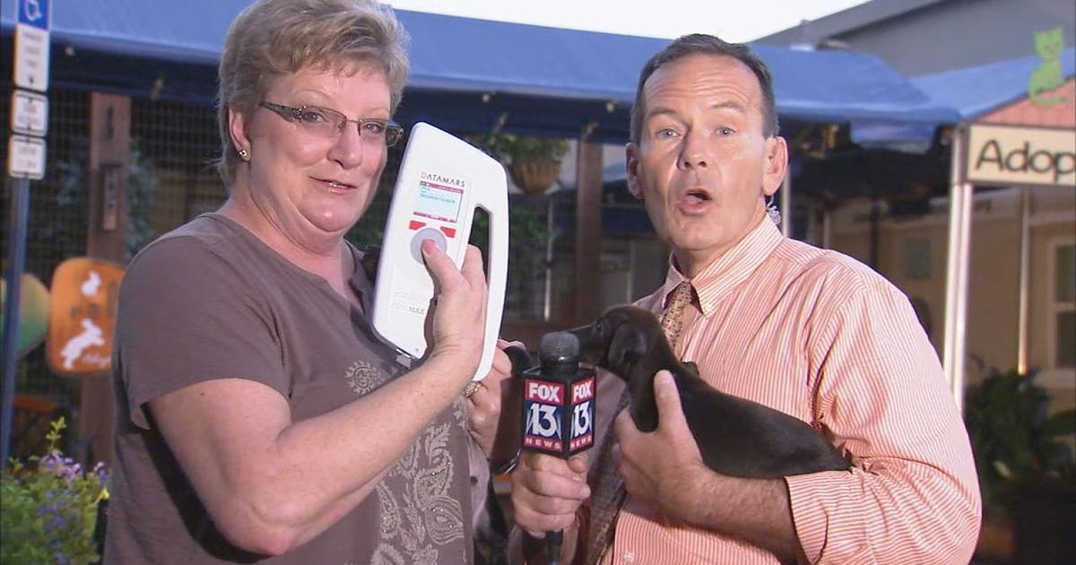 Suspect arrested in case of puppy theft | FOX 13 Tampa Bay