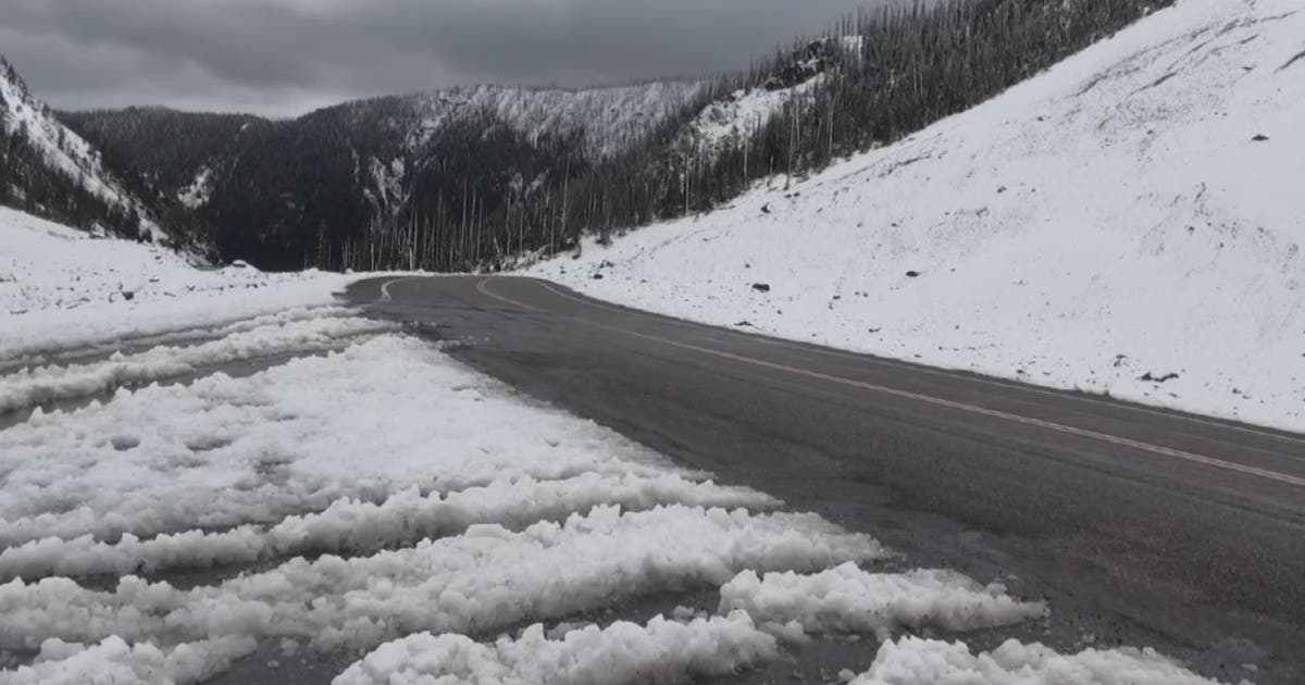 In August, Montana saw its first snow of the season | FOX 13 Tampa Bay