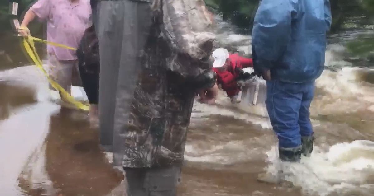 Group helps rescue neighbor's dog from flooding | FOX 13 Tampa Bay