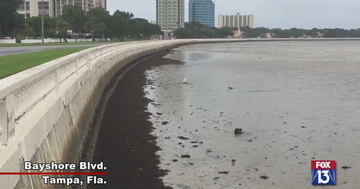 Hurricane Irma drains Tampa Bay area waterways | FOX 13 Tampa Bay