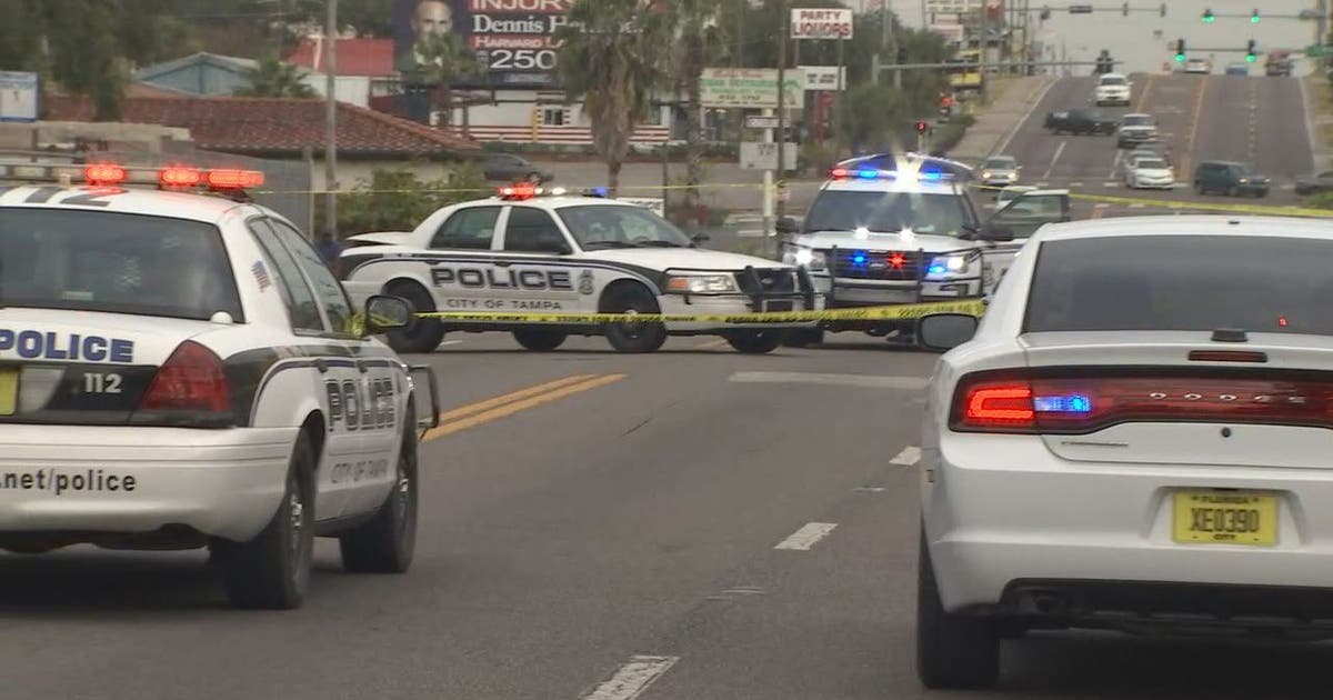 8-year-old hit by car on N. Florida Ave. | FOX 13 Tampa Bay
