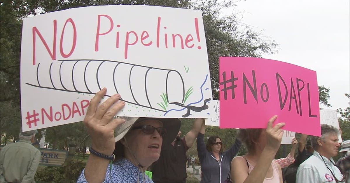 Dapl Protest Fenced St. Pete residents join national DAPL protest day | FOX 13 Tampa Bay