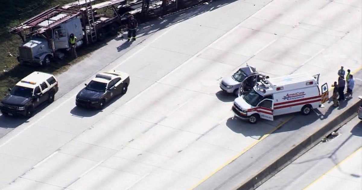 Dog blamed in deadly I-275 crash | FOX 13 Tampa Bay