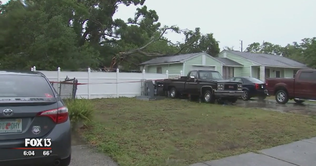 Storm victims claim city wouldn't allow trees' removal | FOX 13 Tampa Bay