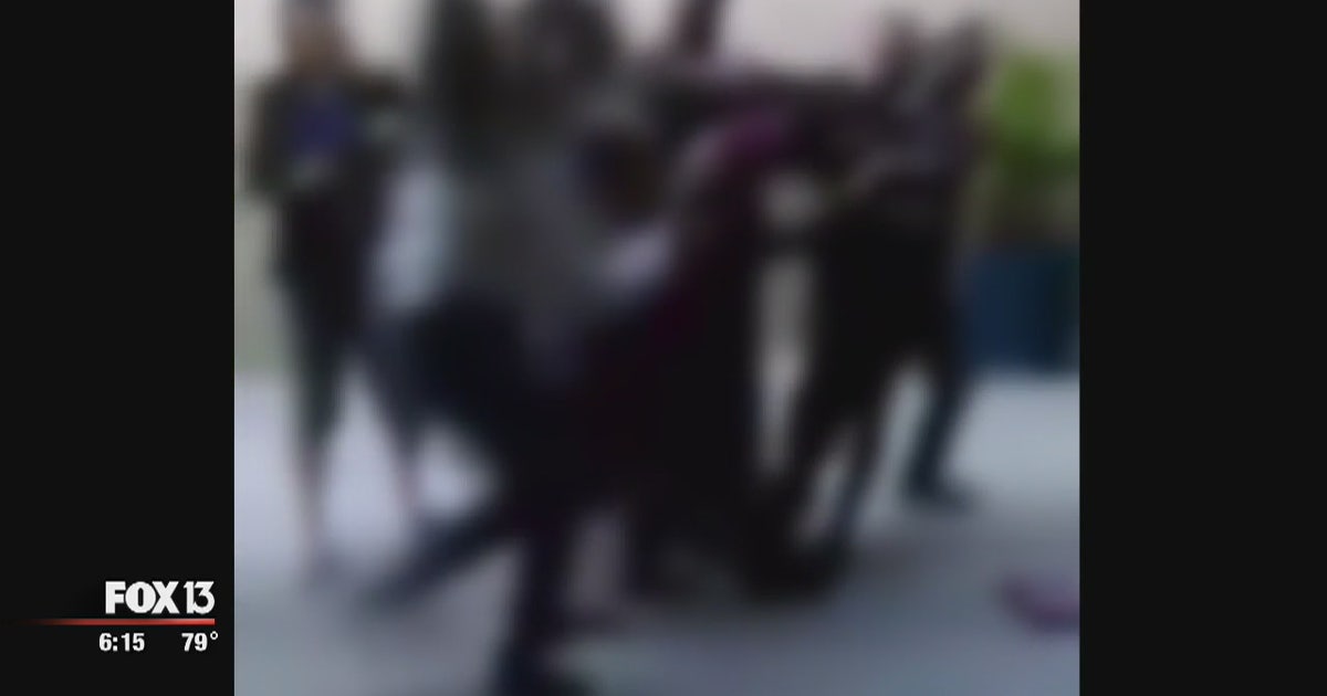 Teen goes to hospital after fight with stun gun | FOX 13 Tampa Bay