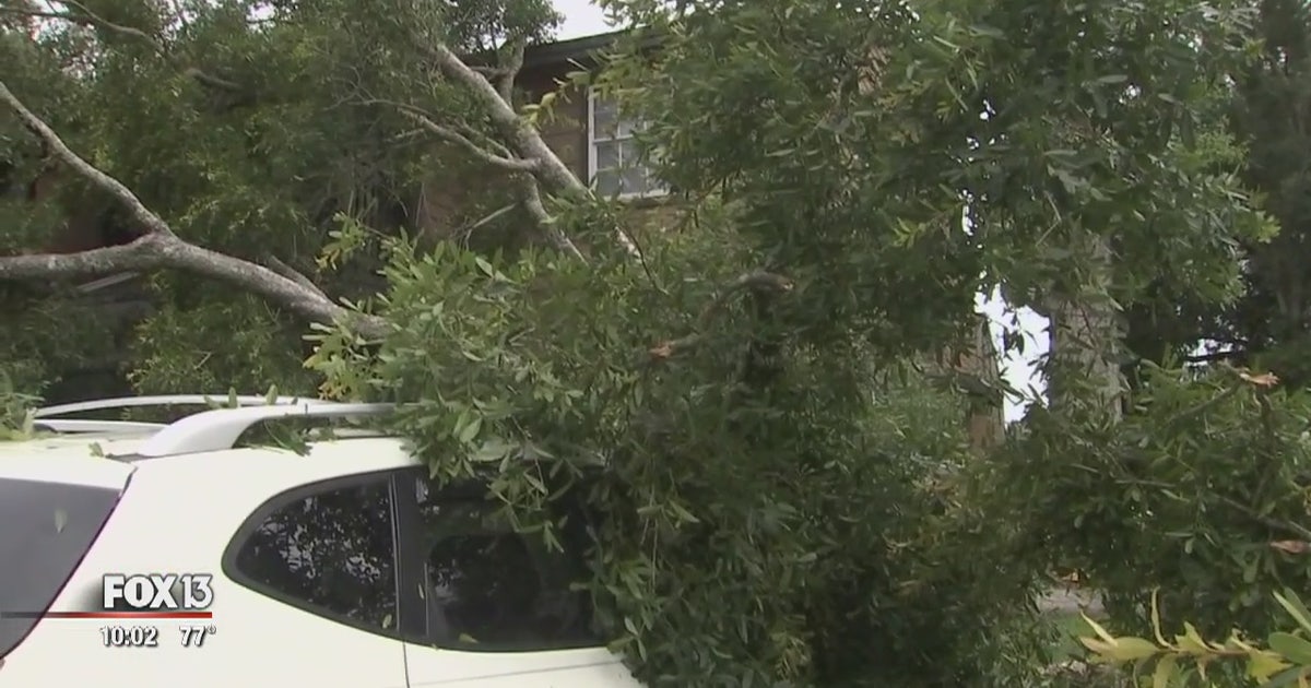 Strong storms cause damage throughout Tampa Bay area | FOX 13 Tampa Bay