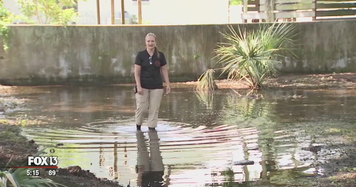 Auburndale woman asks Polk County to fix flooding problem | FOX 13 ...