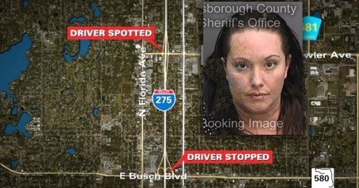 Police: Wrong way driver stopped, arrested for DUI | FOX 13 Tampa Bay