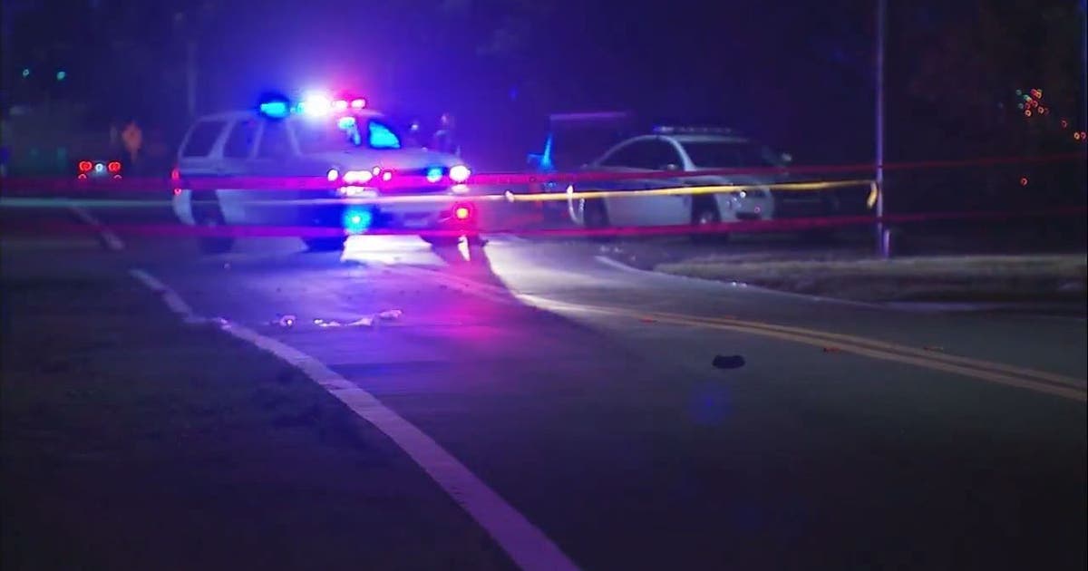Toddler dies after being hit by car | FOX 13 Tampa Bay