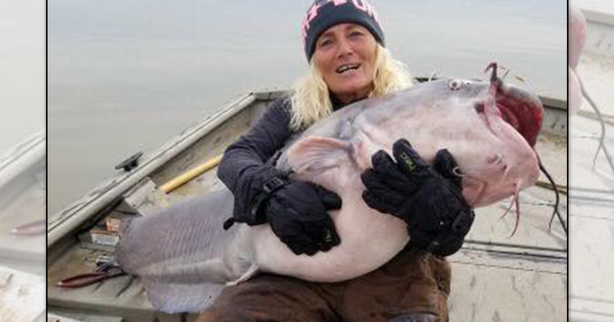 Kat Reeves Fish Woman catches 'monster' 88-pound catfish on Kentucky Lake, says it's a ...