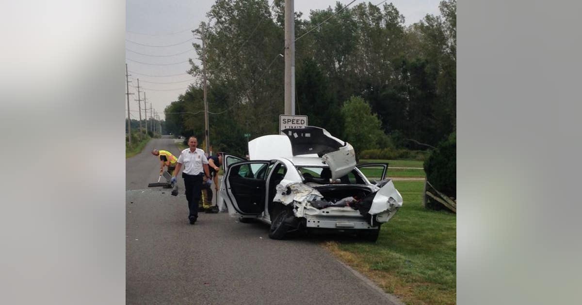 Mother Abandons Car and Child After Seeing Spider | FOX 13 Tampa Bay