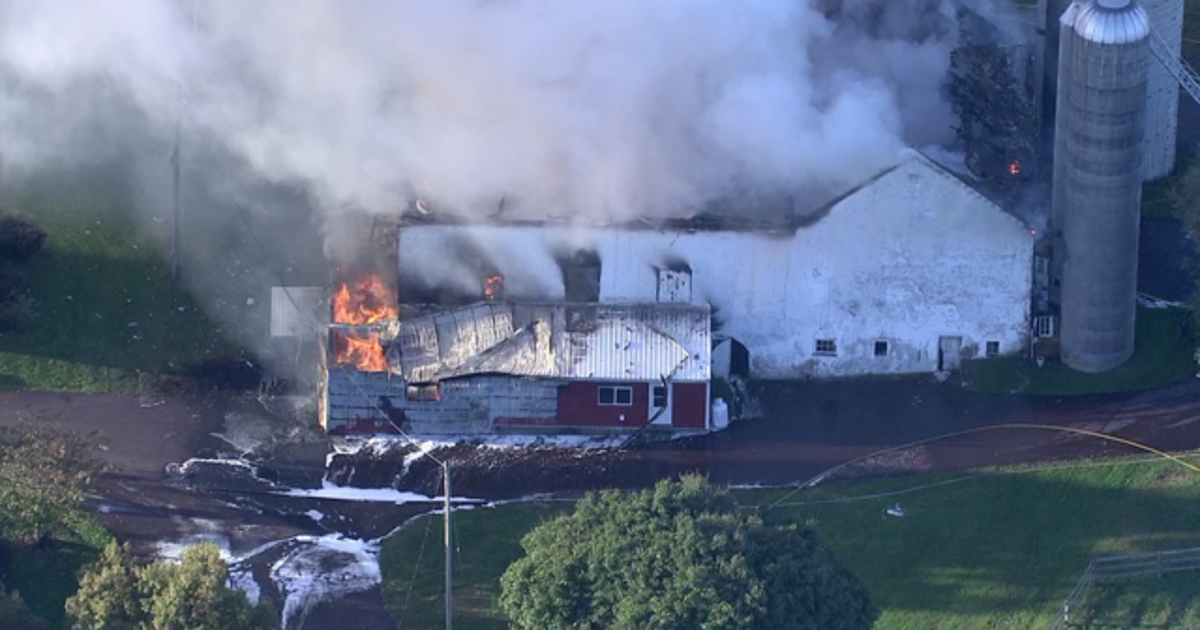 Crews battle Chester County barn fire | FOX 13 Tampa Bay