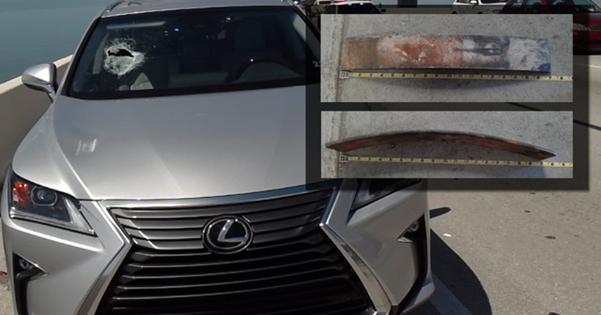 St. Petersburg woman dies days after being struck by metal debris | FOX ...