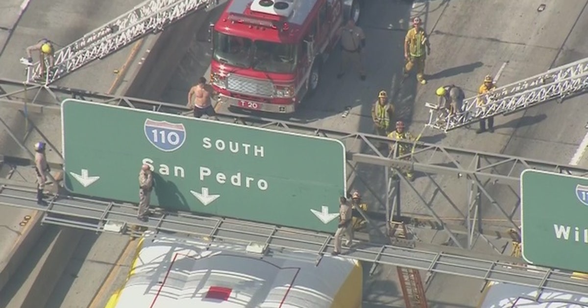 Man standing on 110 Freeway sign snarls traffic in Downtown Los Angeles ...
