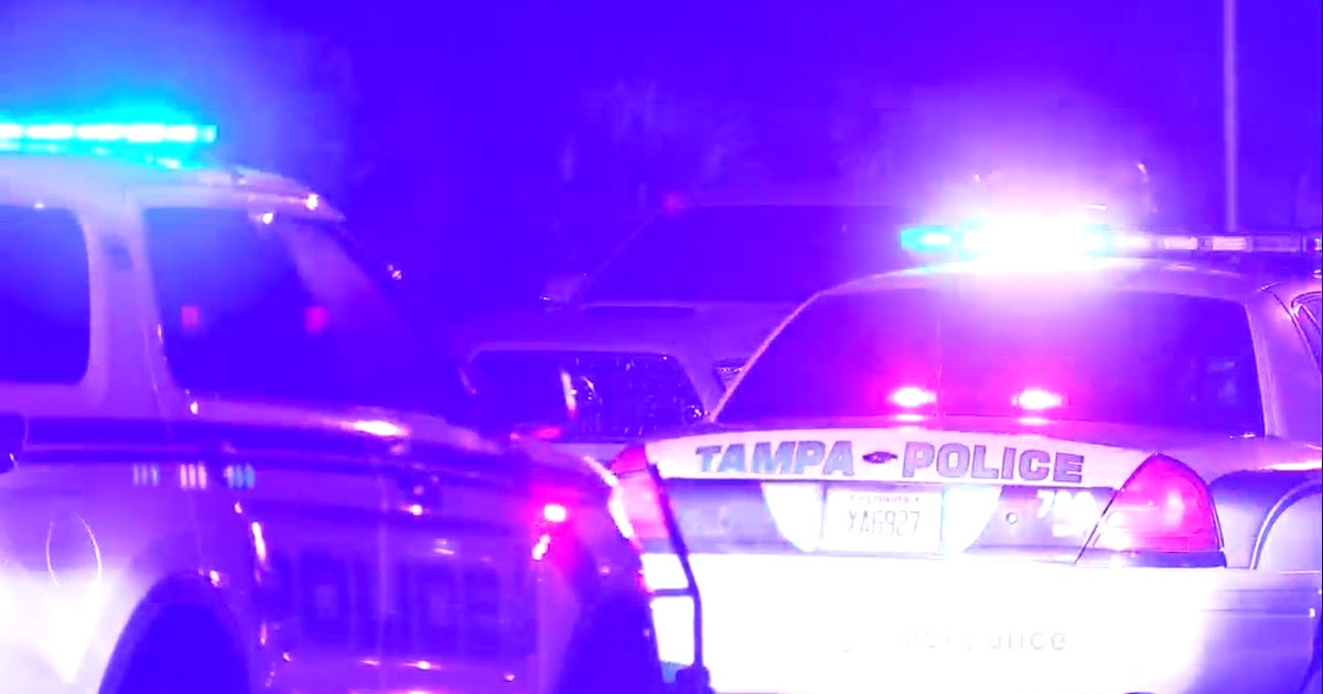 Woman arrested for DUI after driving wrong way on Gandy Bridge, police ...