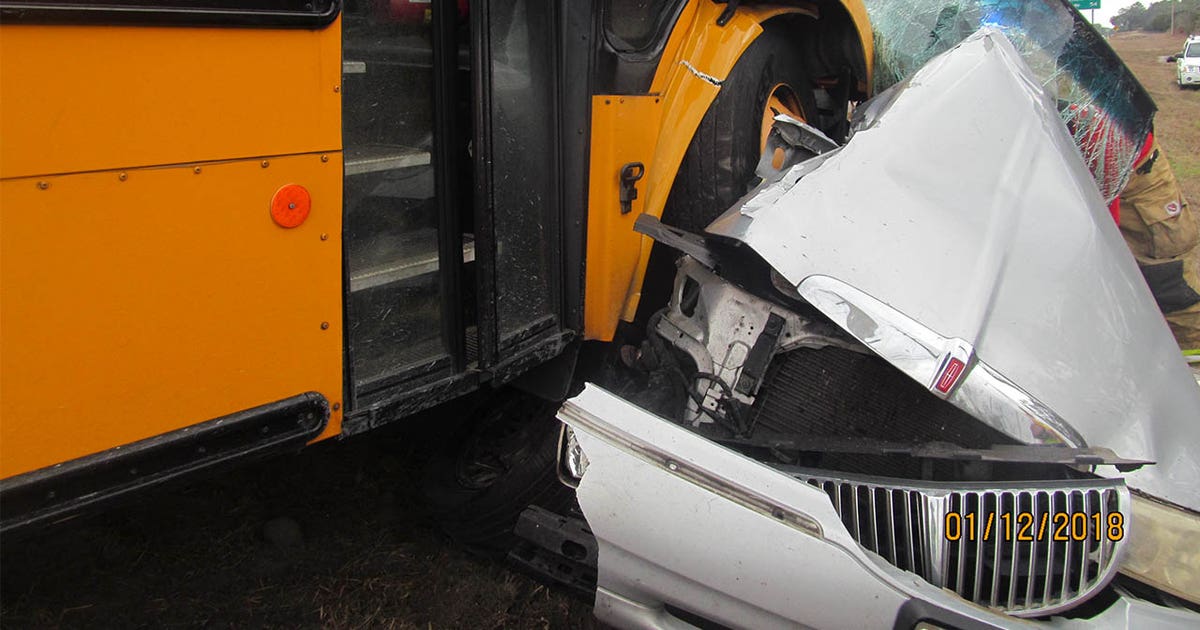 Driver, dog seriously injured following school bus crash | FOX 13 Tampa Bay