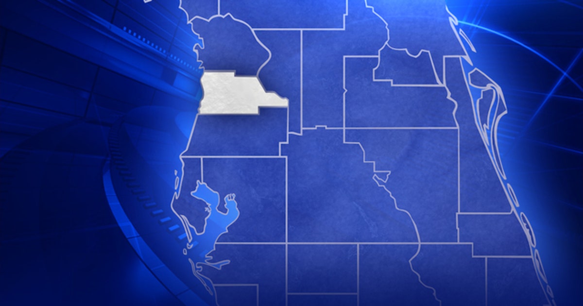 Thousands of dollars worth of drugs and weapons seized | FOX 13 Tampa Bay