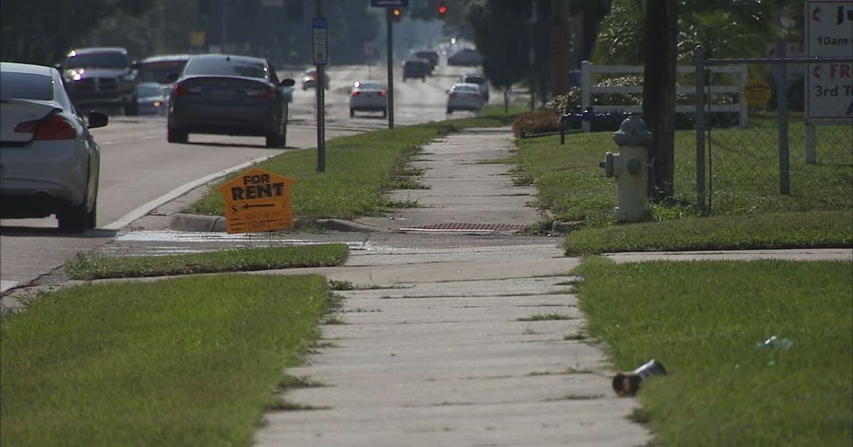 Police look for driver in fatal hit-and-run | FOX 13 Tampa Bay