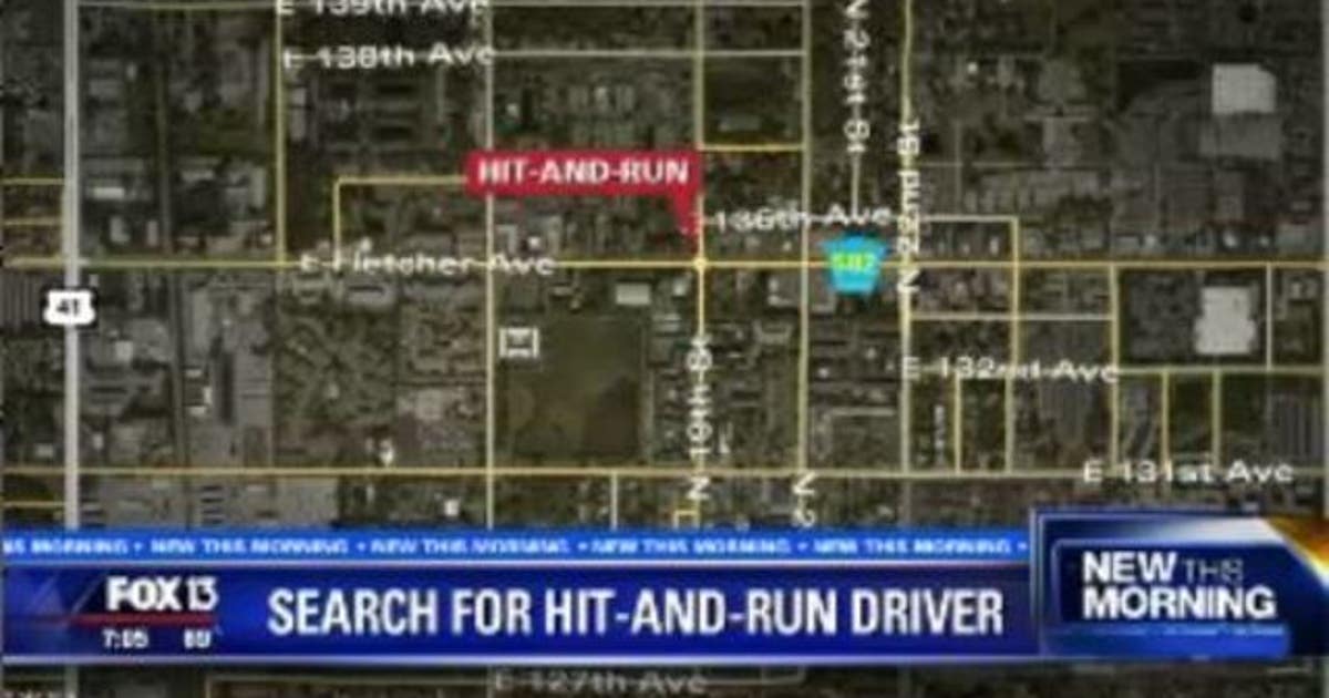 Deputies searching for hit-and-run driver | FOX 13 Tampa Bay