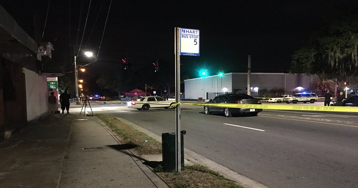 Toddler survives, but mom killed in hit-and-run crash | FOX 13 Tampa Bay