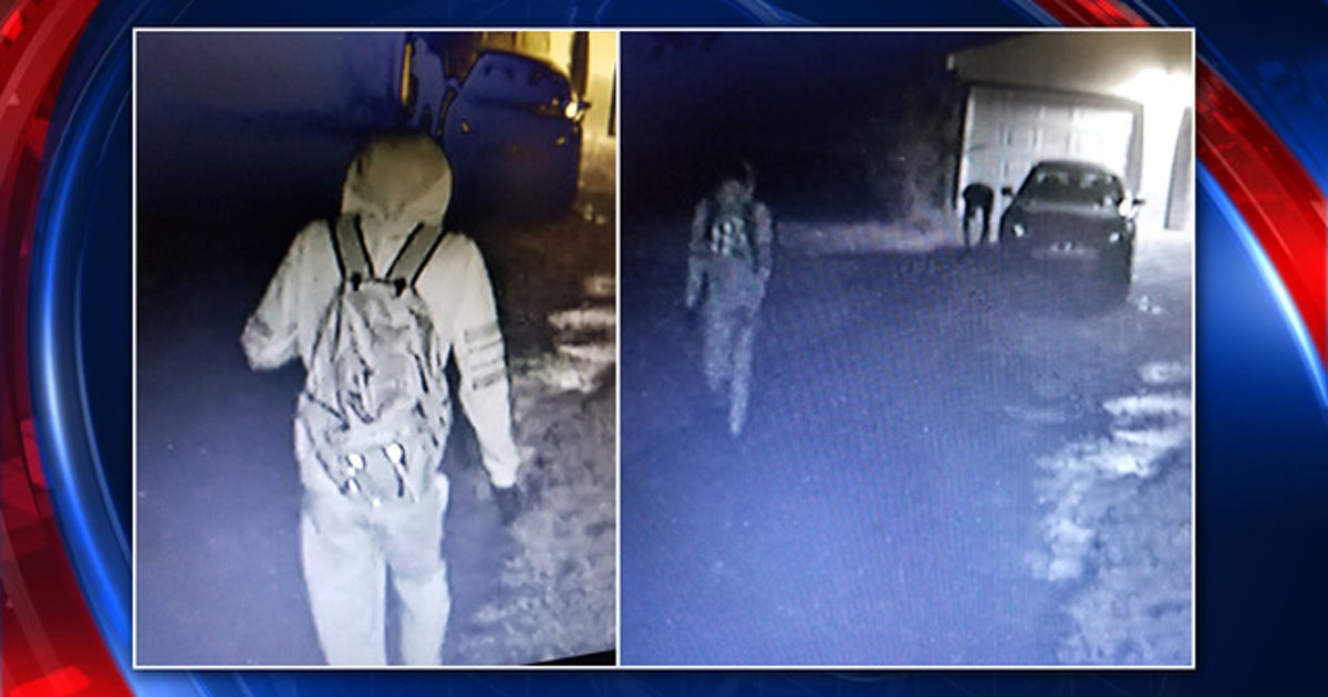 Polk deputies looking for stolen guns | FOX 13 Tampa Bay