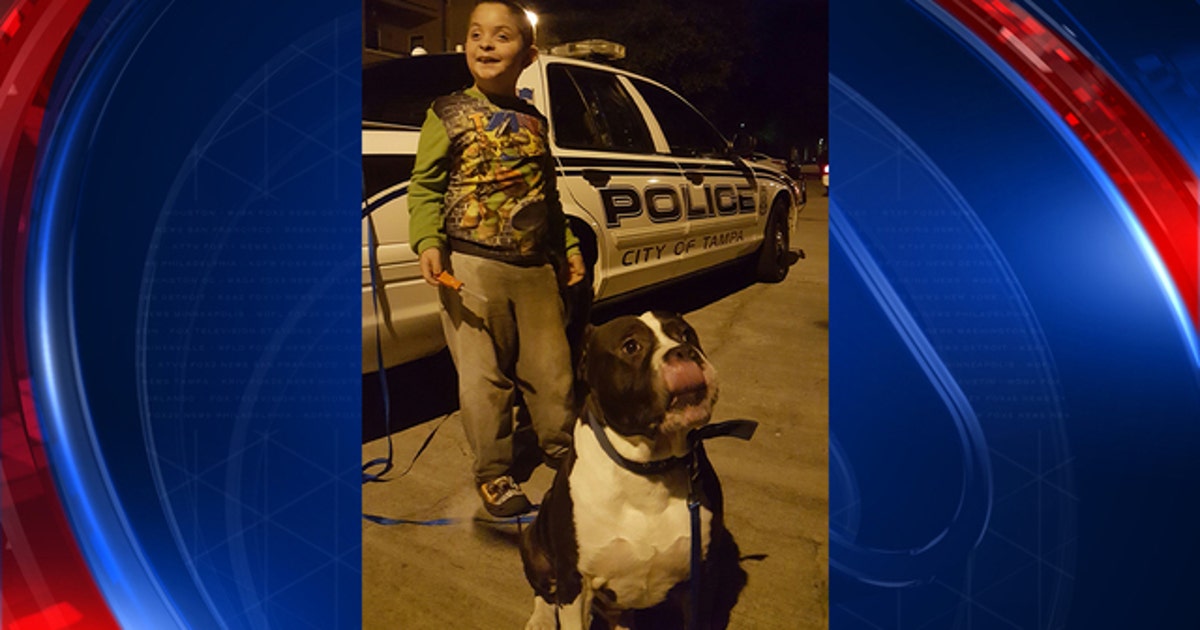 Tampa police reunite lost child with family | FOX 13 Tampa Bay