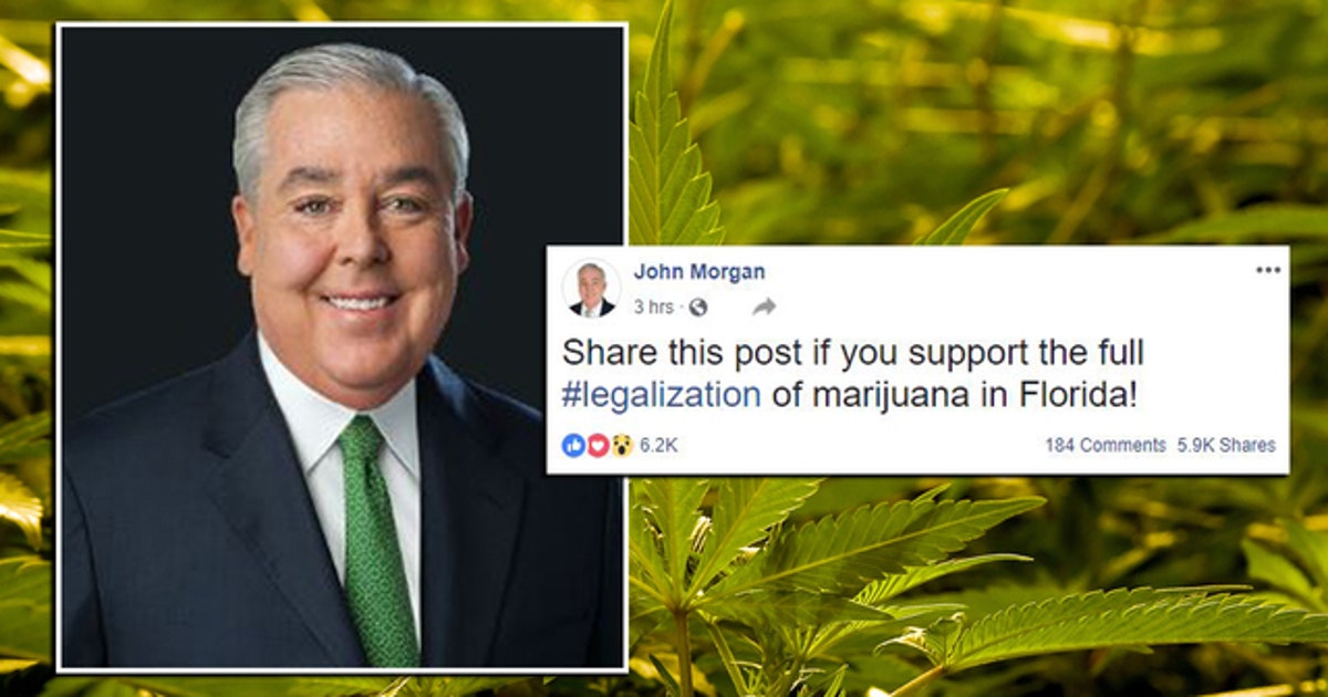 Tim Morgan John Morgan looks toward 'full marijuana legalization' in 2020 | FOX 13 ...
