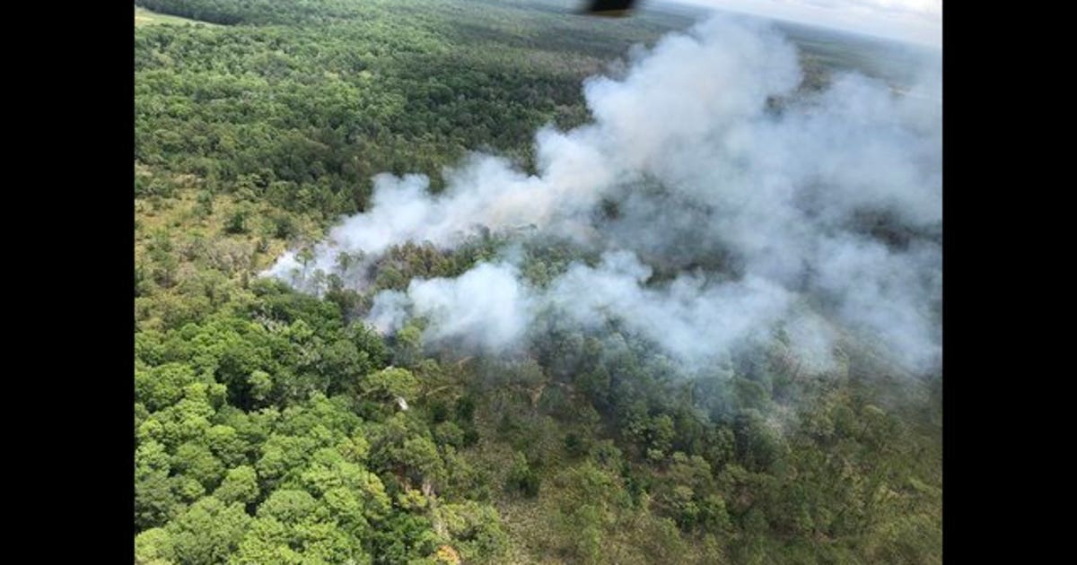 Pasco brush fire 100% contained | FOX 13 Tampa Bay
