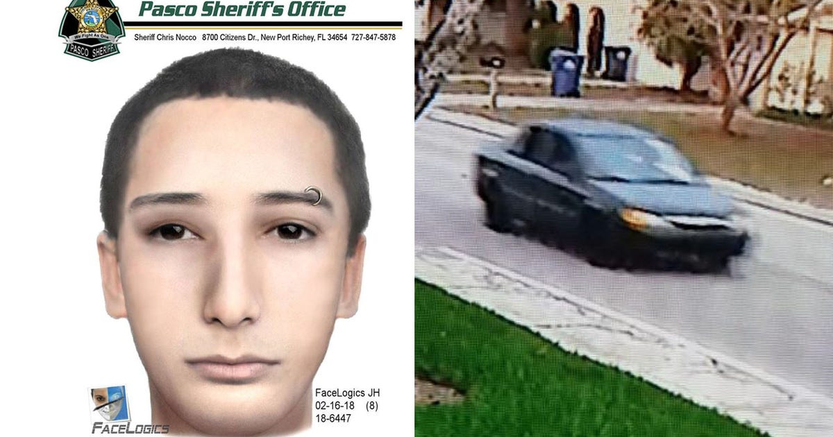 14-year-old dies after Port Richey shootout, deputies say | FOX 13 ...