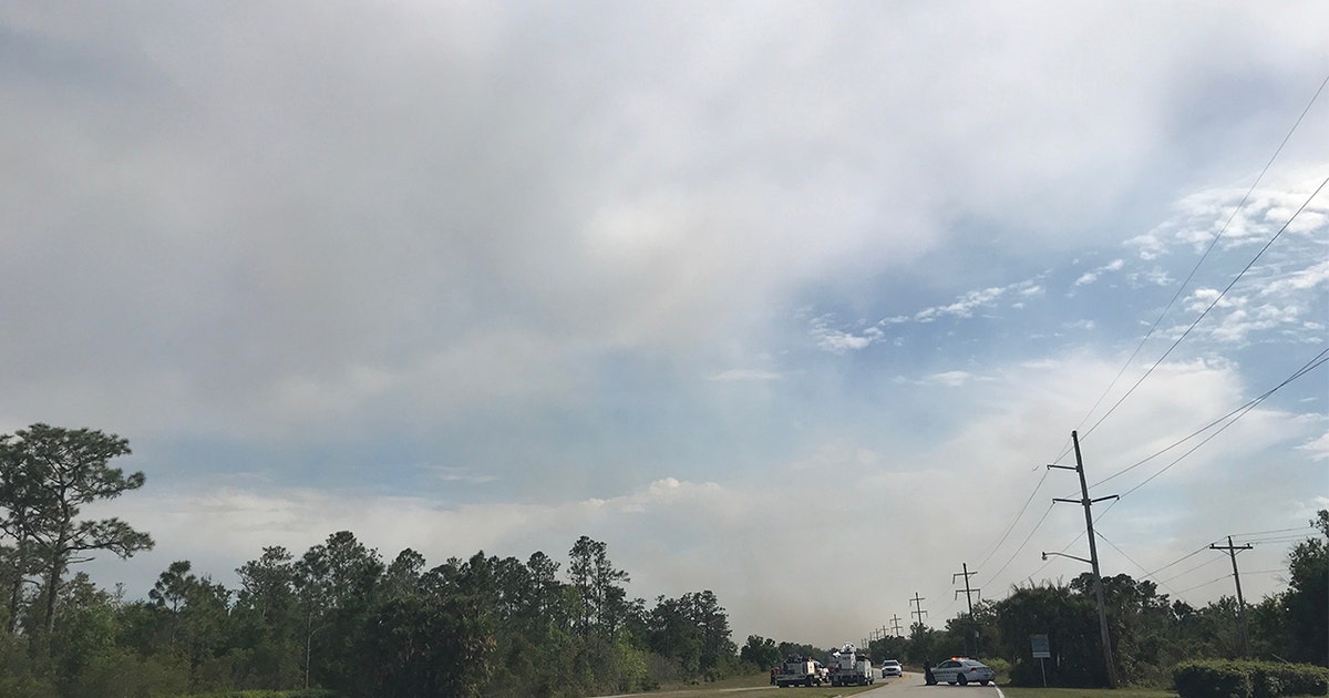 Polk County brush fire 50% contained | FOX 13 Tampa Bay