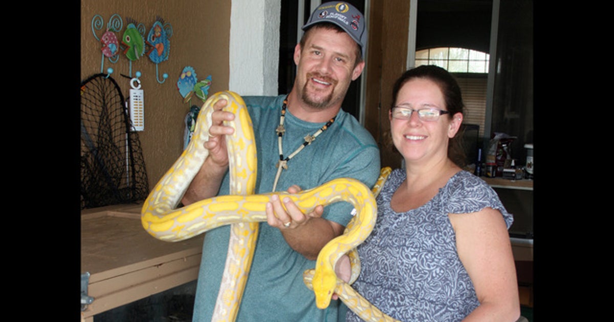 Firefighters rescue pythons from house fire | FOX 13 Tampa Bay