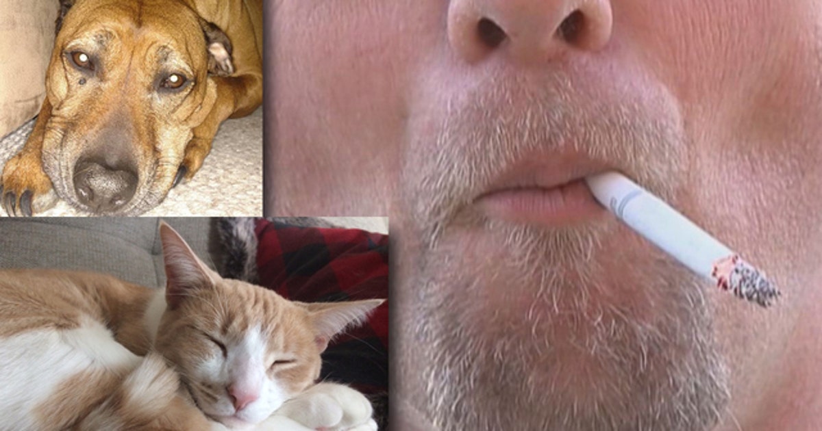 Smokers cause harm for animals beyond second-hand smoke
