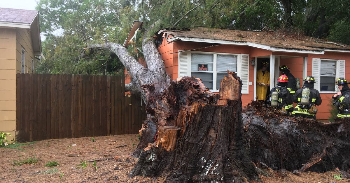 Storms damage at least three homes in Pinellas | FOX 13 Tampa Bay