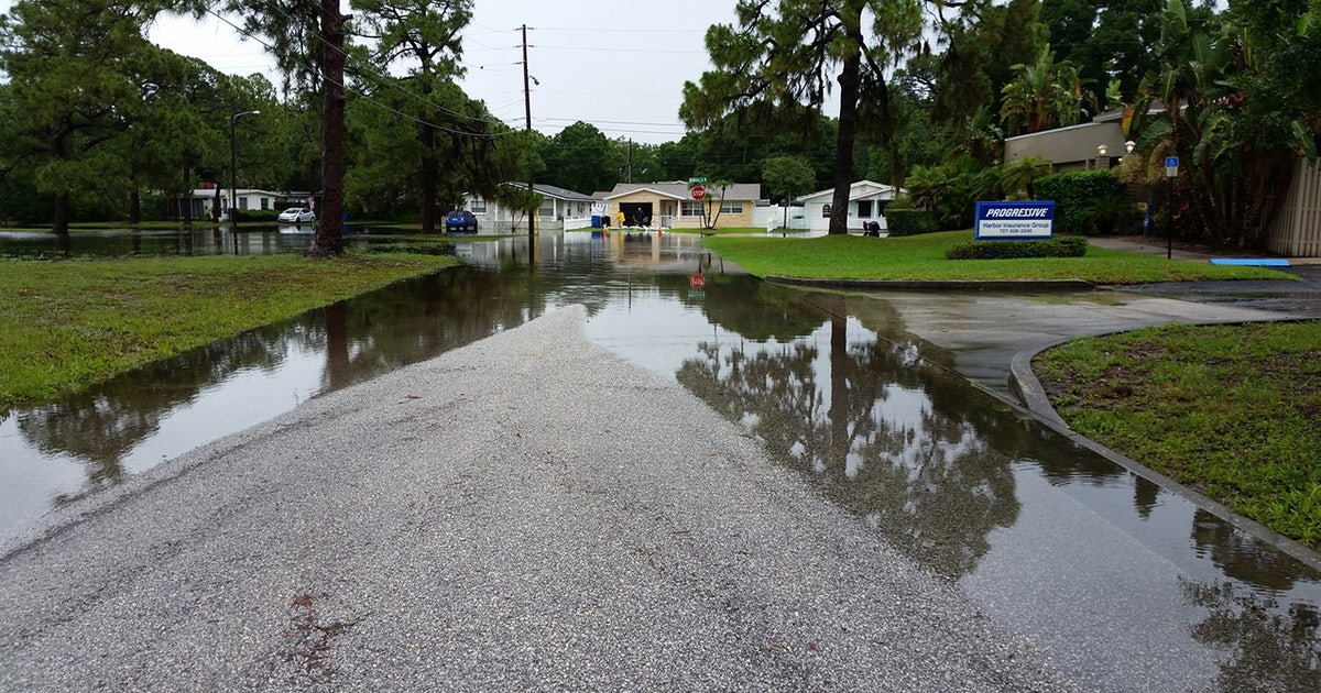 Flooding recedes, but stormy summer looms | FOX 13 Tampa Bay
