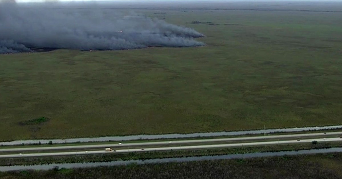 Brush fire burns alongside Alligator Alley | FOX 13 Tampa Bay