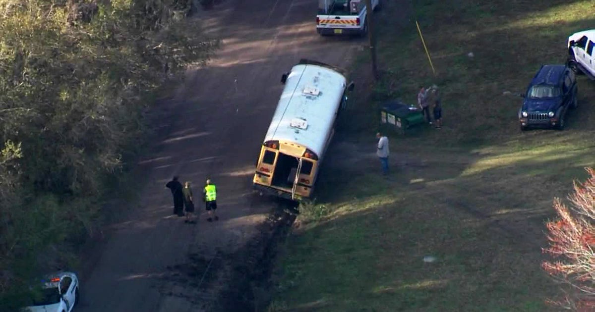'Ruts in road' blamed for Pasco school bus crash | FOX 13 Tampa Bay
