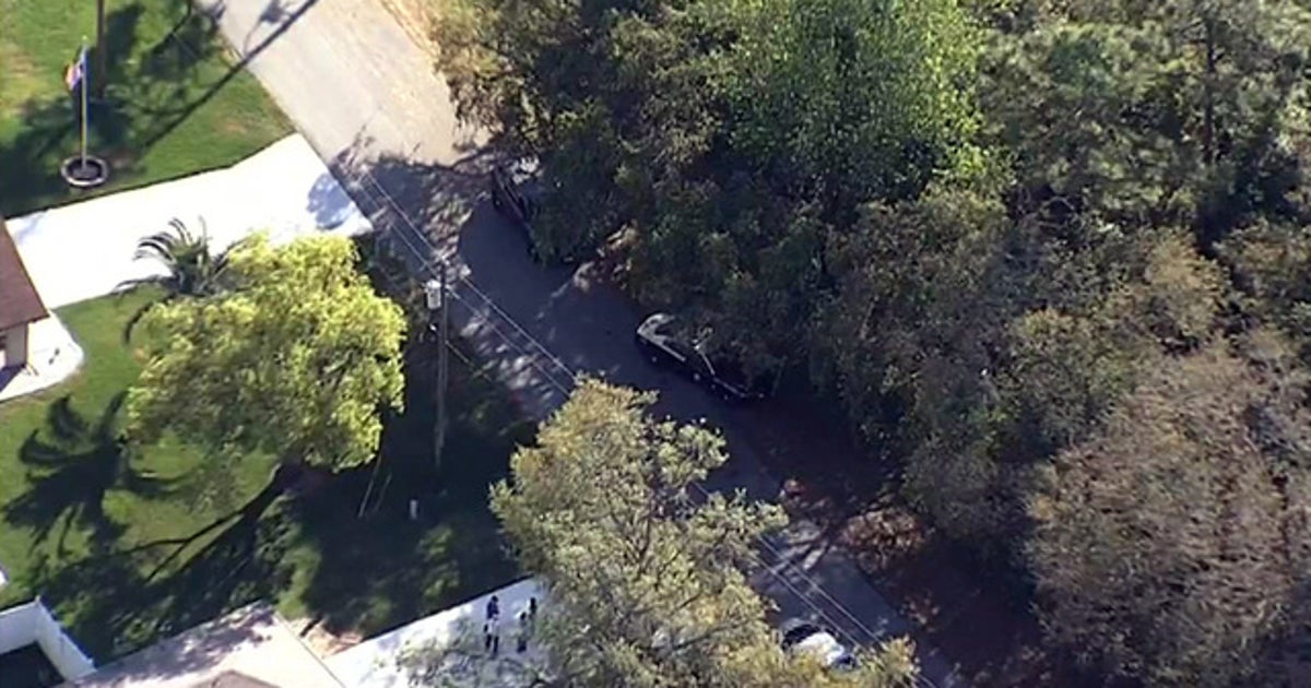 14-year-old driver dies after hitting tree, troopers say | FOX 13 Tampa Bay