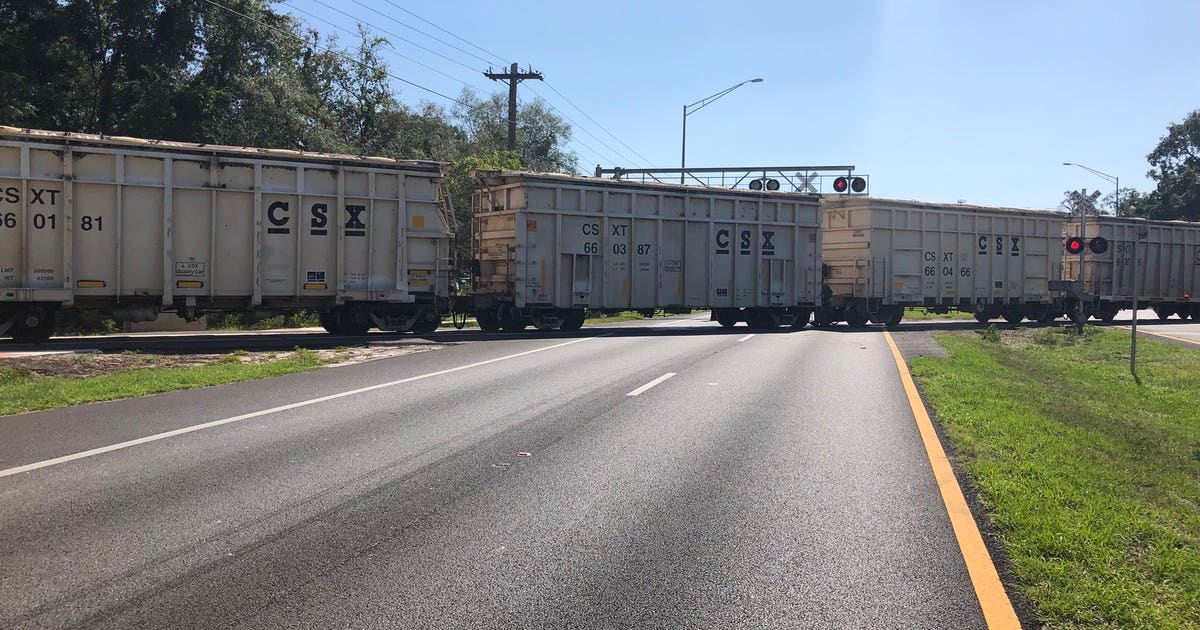 Pedestrian hit, killed by train | FOX 13 Tampa Bay