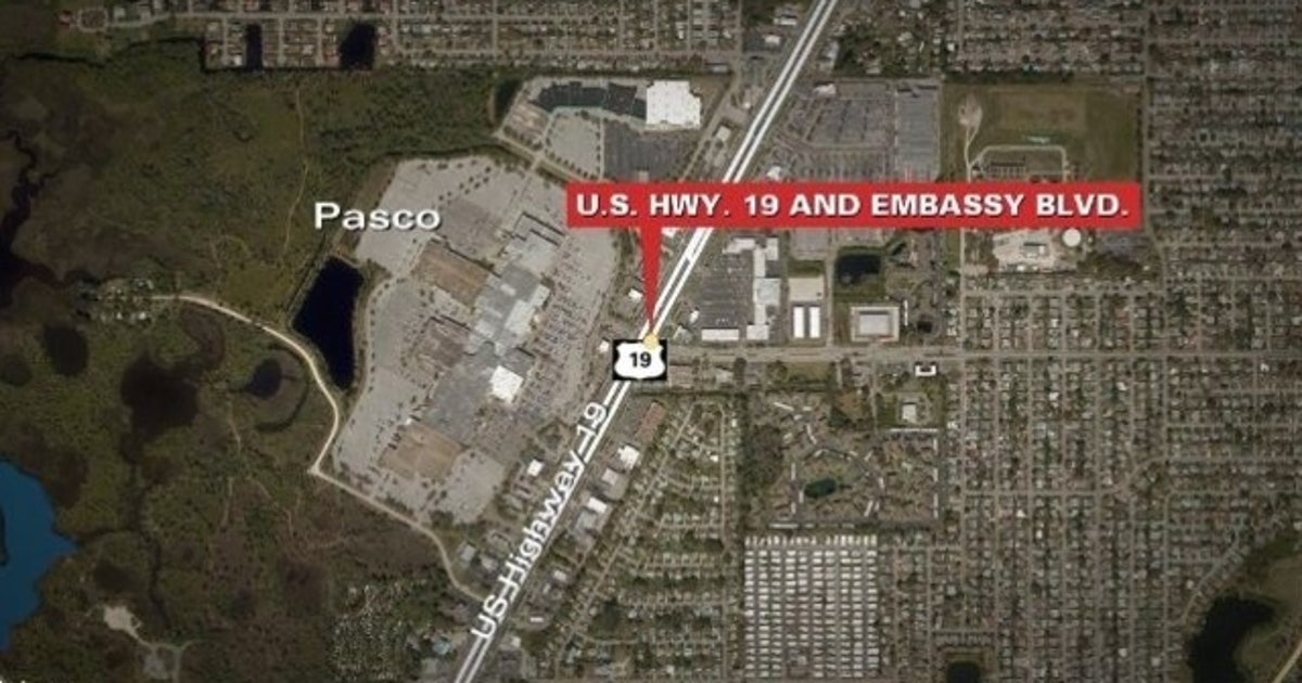 Pedestrian hit and killed in crash on U.S. Hwy. 19 | FOX 13 Tampa Bay