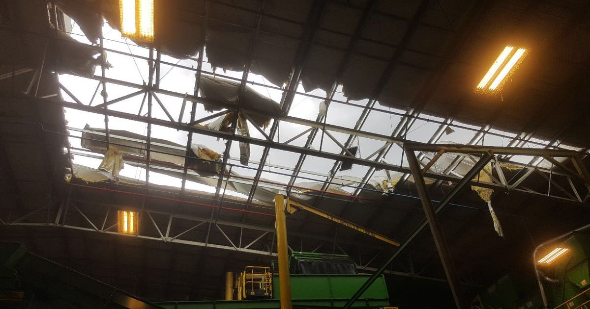 Storms leave behind wind damage | FOX 13 Tampa Bay