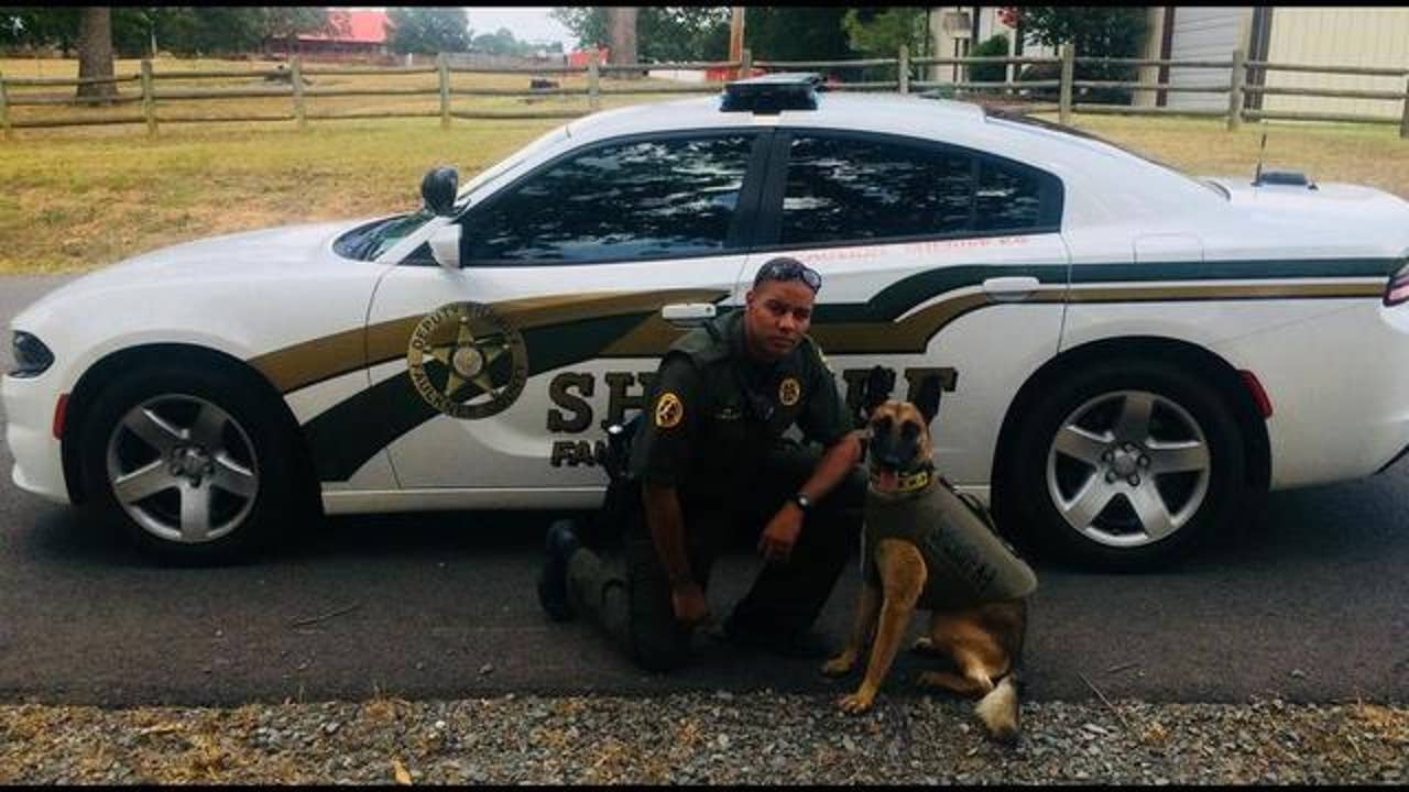 Arkansas police officer fired after shooting Chihuahua in video