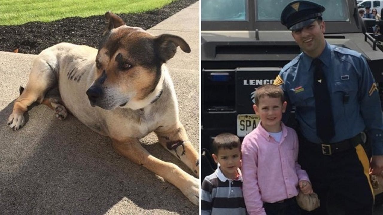 10-years After Trooper Saved Dog, It's Still Part Of The Family