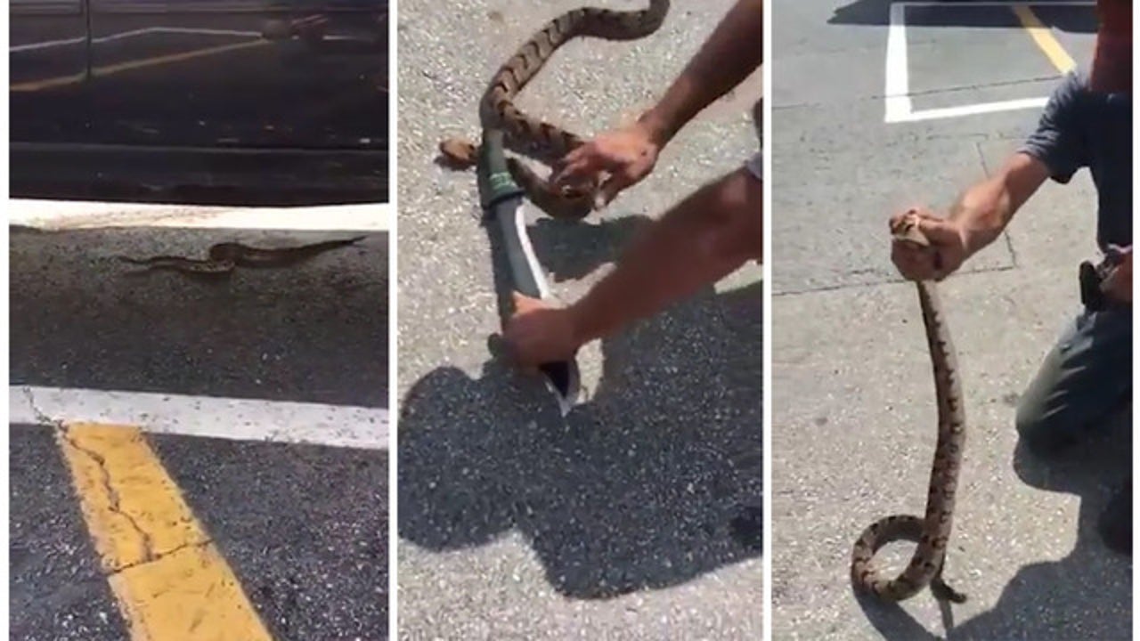 Man with machete catches rattlesnake at Target parking lot in Texas