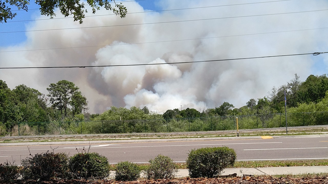 Pasco brush fire holding at 2,200 acres, now 70 percent contained FOX